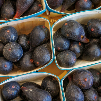Figue Noire - Barquette de 500g