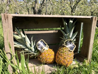 Ananas
