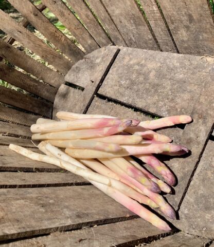 Asperge Blanche - Vrac