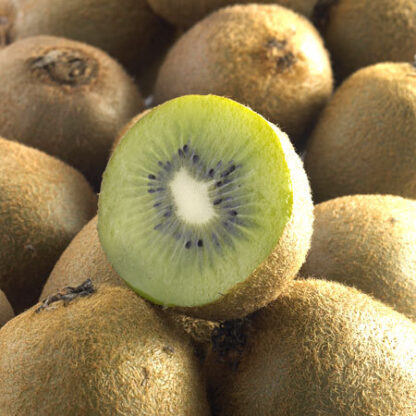 Kiwi Vert