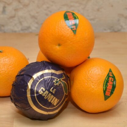 Orange de Table "Le Gamin"