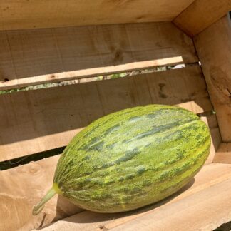 Melon Vert - Tranche