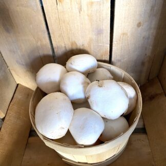 Champignon de Paris