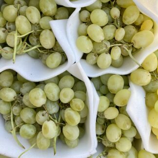 Raisin Blanc - Italia