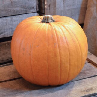 Citrouille d'Halloween - Jack O'Lanthern