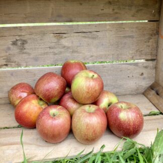 Pomme Braeburn