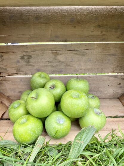 Pomme Granny Smith