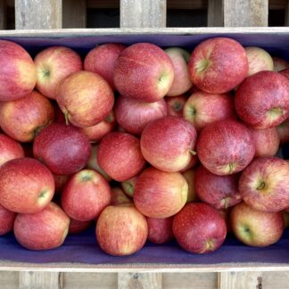 Pomme Royal Gala - Caisse de 5kg
