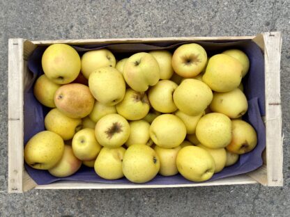 Pomme Golden - Caisse de 10kg