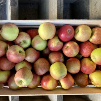 Pomme Braeburn - Caisse de 6kg