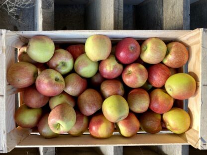 Pomme Braeburn - Caisse de 6kg