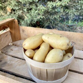 Pomme de Terre - Amandine