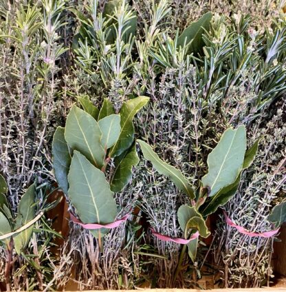 Bouquet Garni