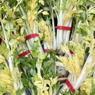 Céleri Blanc