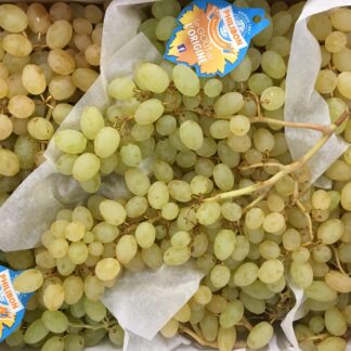 Raisin Blanc - Aledo