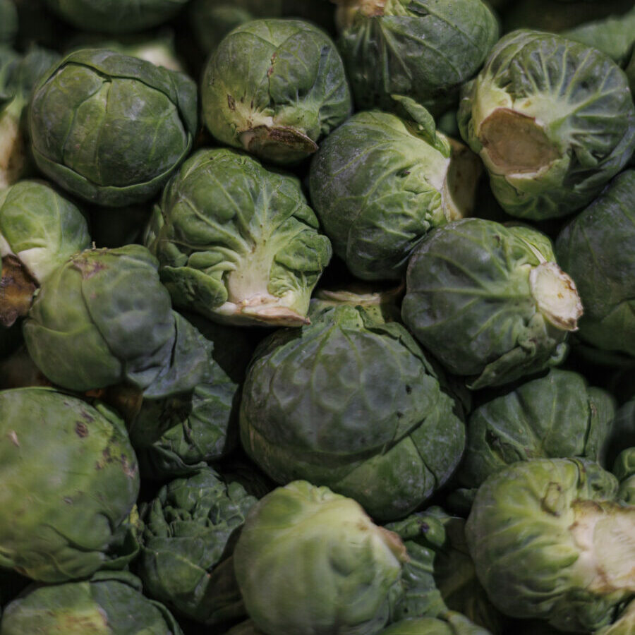 Choux de Bruxelles Les Paniers de Didier