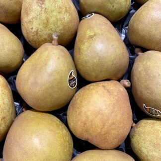 Poire Angelys