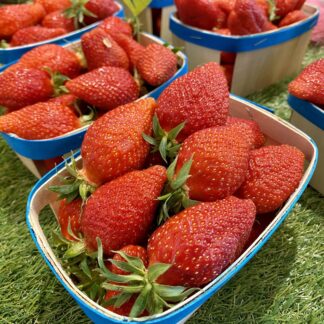 Fraise Gariguette - Barquette de 500g