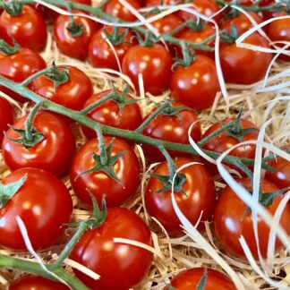 Tomate Cerise Grappe