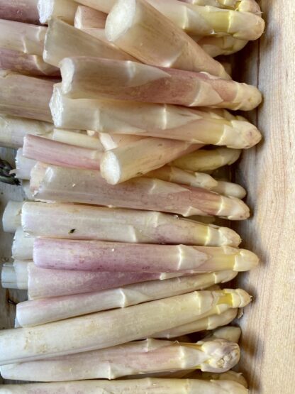 Asperge Blanche - Pointes (300g)