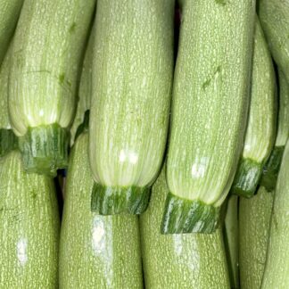 Courgette Blanche