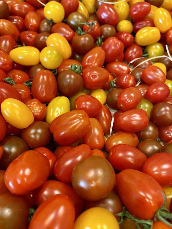Tomate Cerise Multicolore