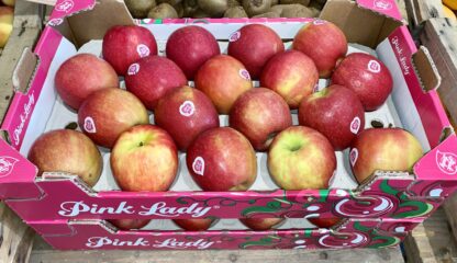 Pomme Pink Lady - Colis de 4.5kg