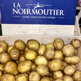 Pomme de Terre "Noirmoutier"