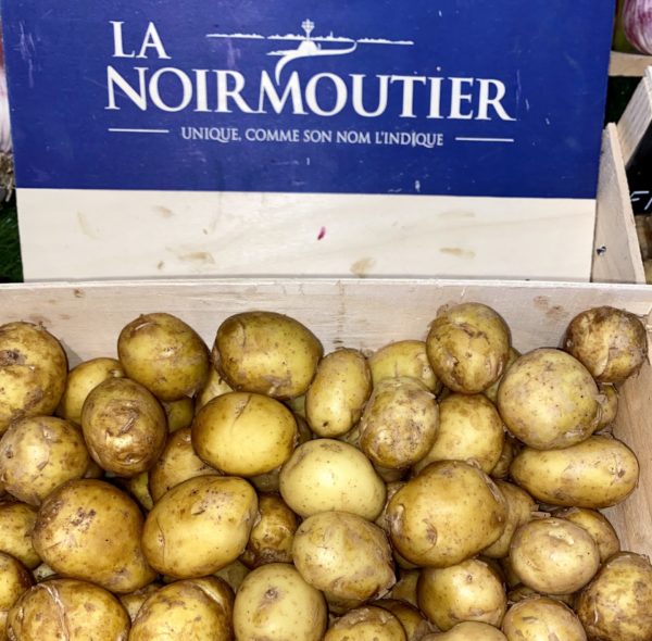 Pomme de Terre - Noirmoutier