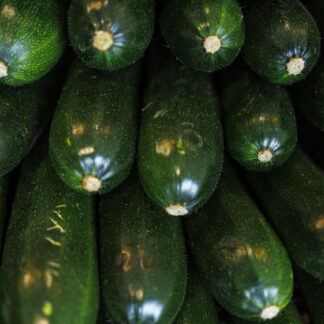 Courgette Verte