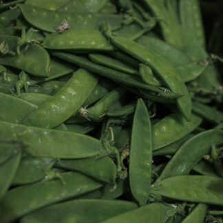 Pois Gourmands - 250g