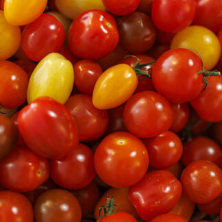 Tomate Cerise Multicolore