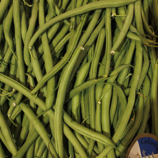 Haricot Vert - 500g