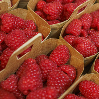 Framboise - Barquette 125g