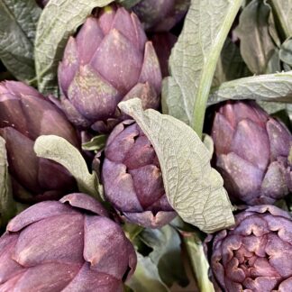 Artichaut Violet en Bouquet