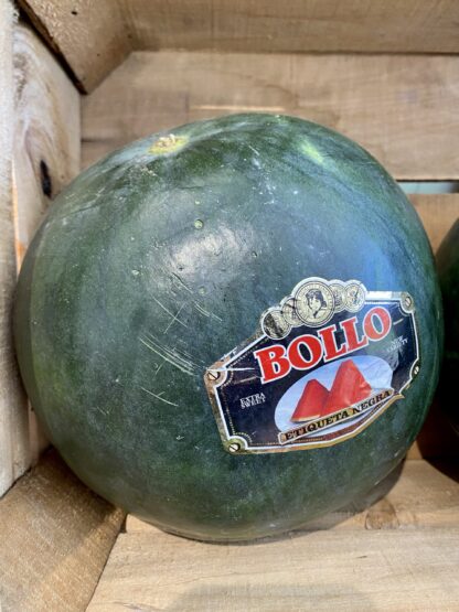 Pastèque Noire "Bollo" - Entière