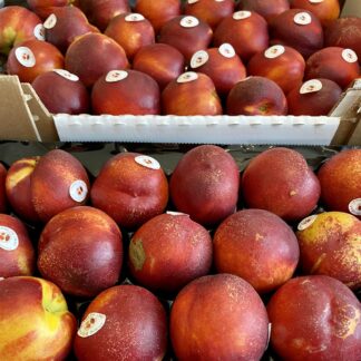 Nectarine Blanche & Jaune