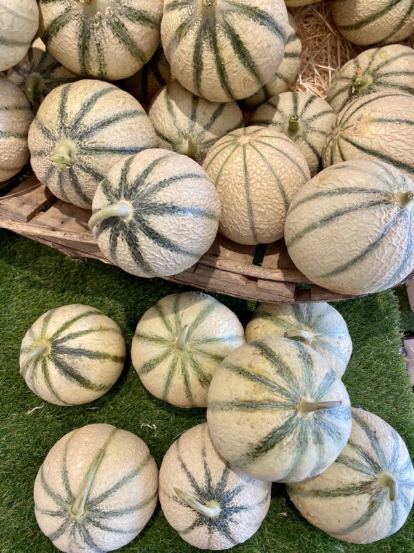 Melon type Charentais
