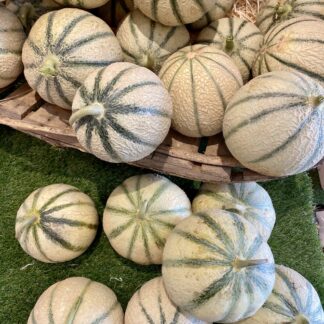 Melon type Charentais