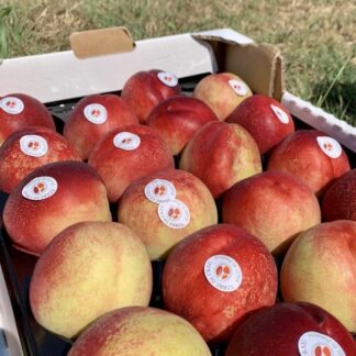 Nectarine Blanche - Colis Entier