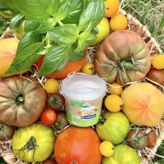 Panier "Tomate-Mozza"
