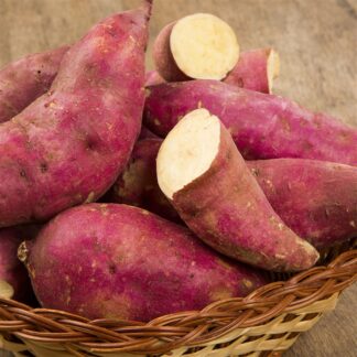 Patate Douce Violette (chair blanche)