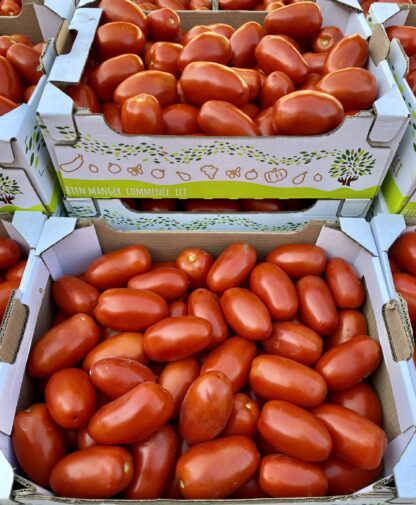 Tomate Roma à Coulis - Colis de 5kg