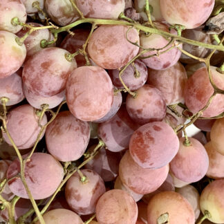 Raisin Violet - Red Globe