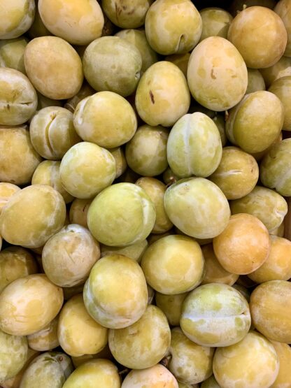 Prune "Martin"