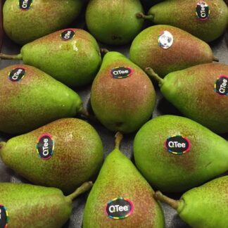 Poire Celina Qtee
