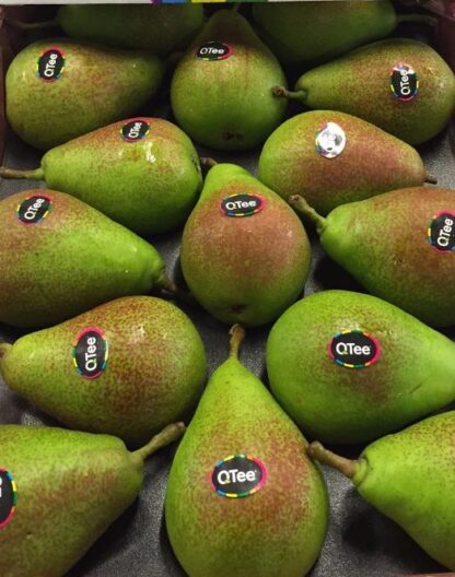 Poire Celina Qtee