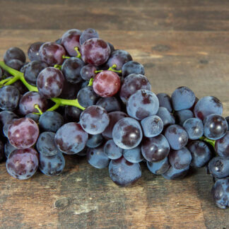 Raisin Noir - Muscat de Hambourg