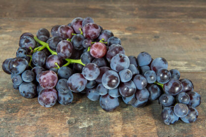 Raisin Noir - Muscat de Hambourg