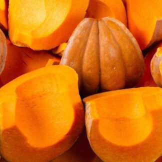 Courge Muscade - Tranche + Persil